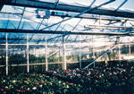 Heat-Rad - Garden Centre Heating