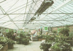 Heat-Rad - Greenhouse Heating